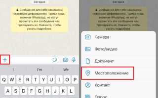 Как скинуть геолокацию по whatsapp с айфона