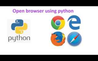Как сделать браузер на python