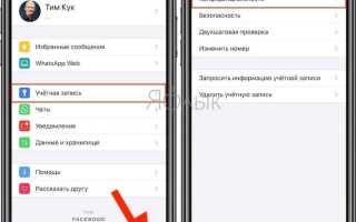 Как заблокировать контакт в whatsapp на айфоне