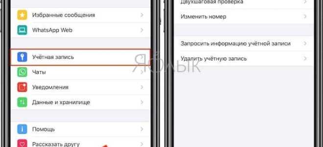 Как заблокировать контакт в whatsapp на айфоне