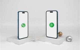 Чем отличается whatsapp от whatsapp business