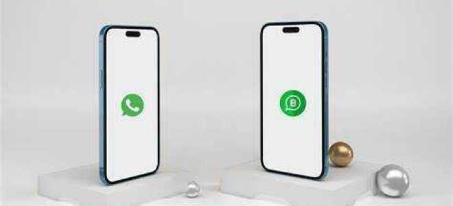 Чем отличается whatsapp от whatsapp business