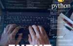 Как работает input в python