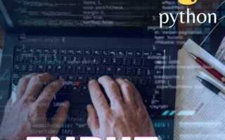 Как работает input в python