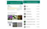Какие программы заламывают whatsapp