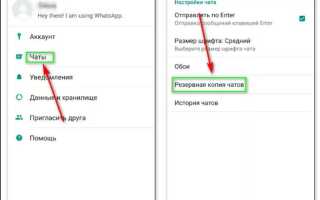 Что такое файл данных whatsapp