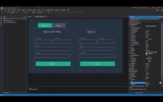 Как заполнить форму кружками в visual studio