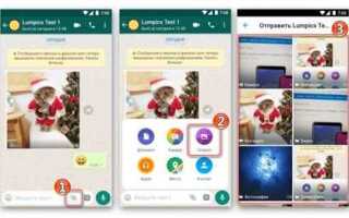 Как в whatsapp отправить несколько фото одним сообщением