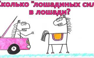 Сколько лошадиных сил в bmw x6