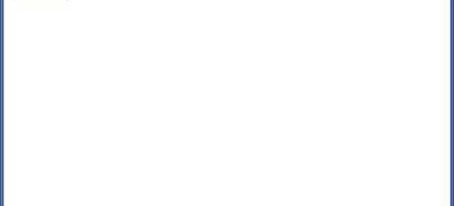 Как получить value input javascript