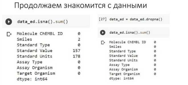 Какую базу данных выбрать для python