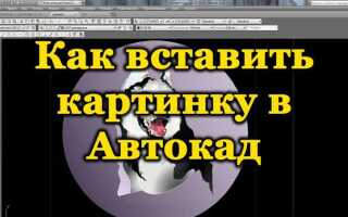 Как внедрить картинку в автокад навсегда