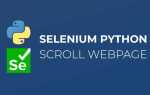 Как нажать на кнопку selenium python