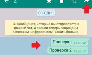 Как вернуть контакты из сброшенных с whatsapp