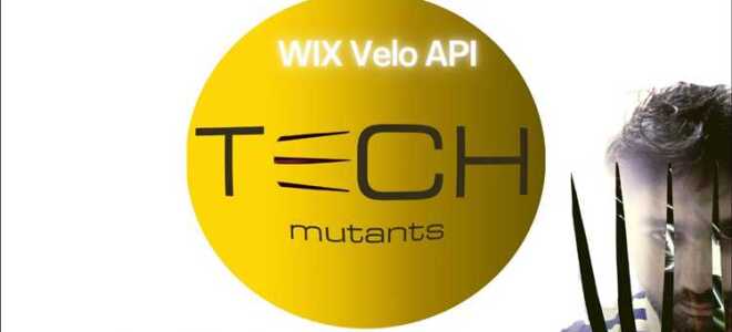 Как подключить api wix velo обучение пример
