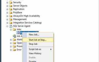 Как запустить агент sql server