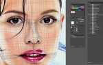 Сколько весит adobe illustrator