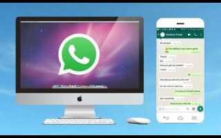 Как обновить whatsapp на компьютере