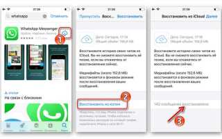 Как перенести чат из whatsapp в telegram