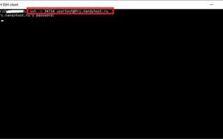Как запустить скрипт php в linux