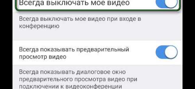 Как в zoom подключить две камеры одновременно
