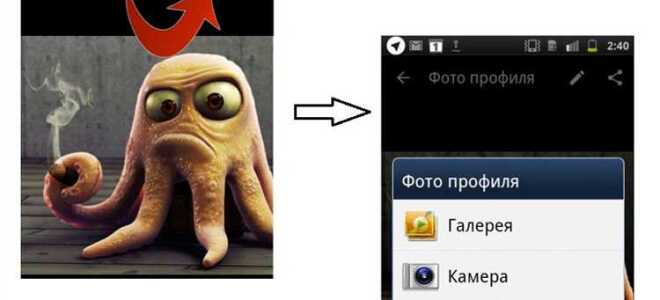 Как скопировать фото с аватара в whatsapp