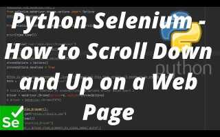 Как скролить в selenium python