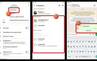 Как передать контакт в whatsapp другому контакту