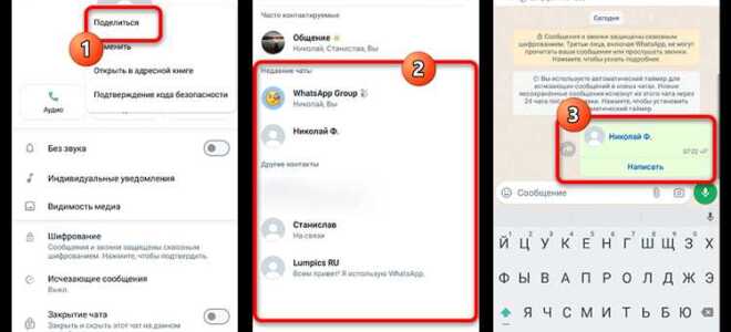 Как передать контакт в whatsapp другому контакту