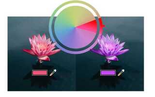 Какой coreldraw лучше для windows 7
