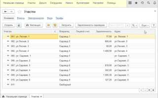Как работать 1с садовод