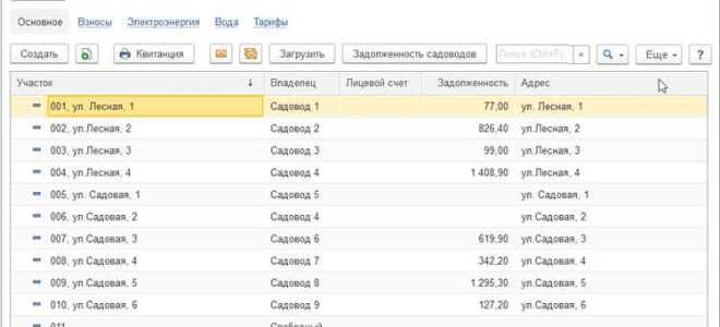 Как работать 1с садовод