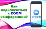 Как находить конференции zoom для троллинга