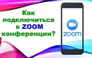 Как находить конференции zoom для троллинга