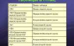 Как сделать таблицу в html