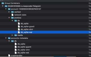 Какой объем базы данных telegram