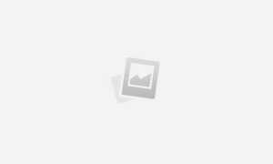 Где находится header php в wordpress