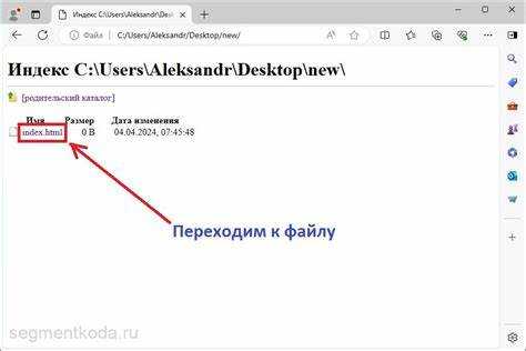 Создание приложения с использованием Windows API для запуска браузера