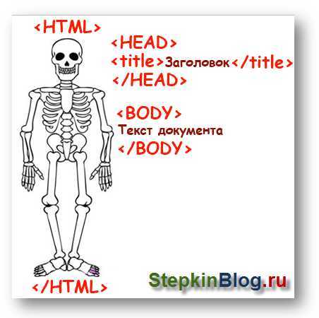 Как сделать конструкцию скелета документа html