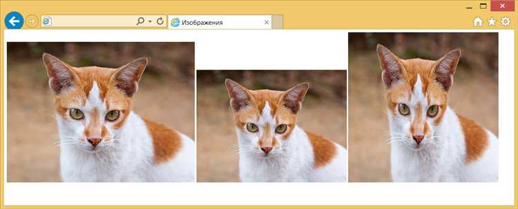 Роль flexbox в адаптации элементов при изменении масштаба