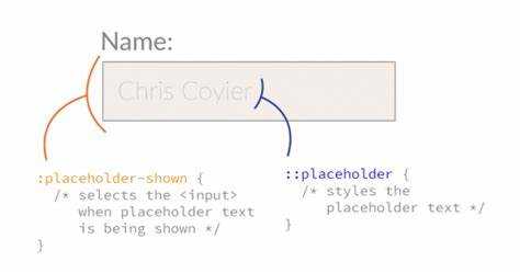 Преимущества и ограничения placeholder в формах
