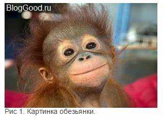 Как сделать подпись под картинкой в html