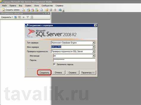 Как в sql server management studio создать бд