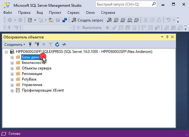 Импорт SQL-файла в существующую базу данных