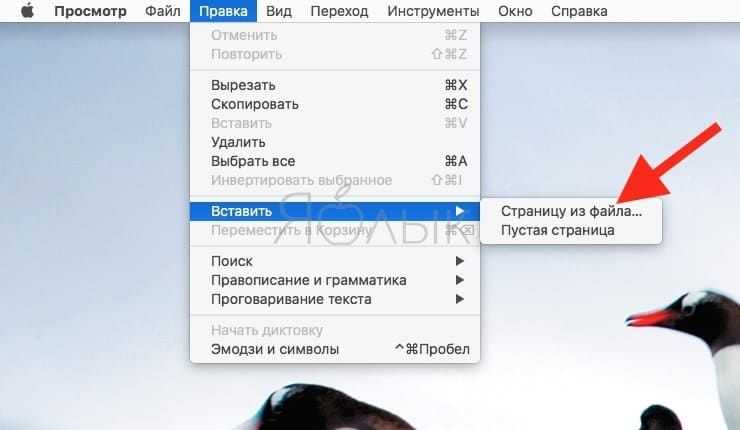 Методы вставки HTML через серверный рендеринг