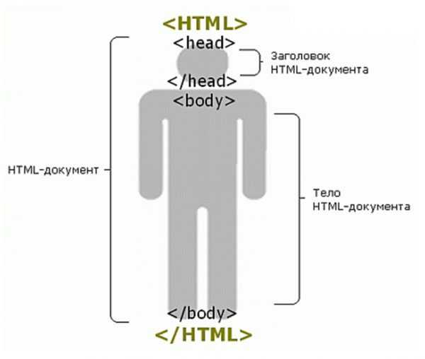 Как формируется внешний вид HTML документа