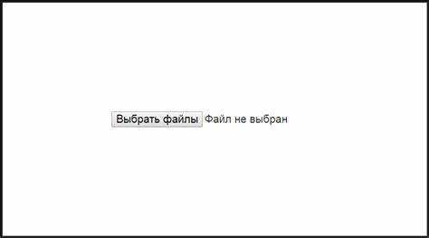 Проверка типа и размера загружаемого изображения