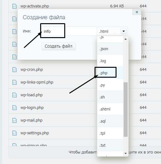Определение версии PHP в Nginx с помощью phpinfo()