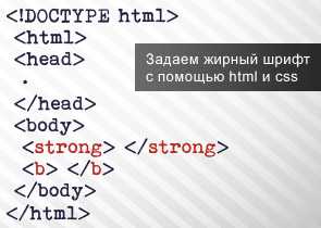Как выделить текст жирным шрифтом в html