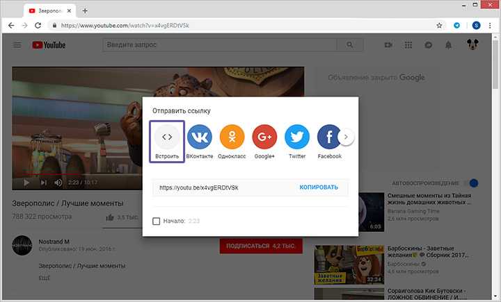Как вставить YouTube-видео через тег <iframe>
